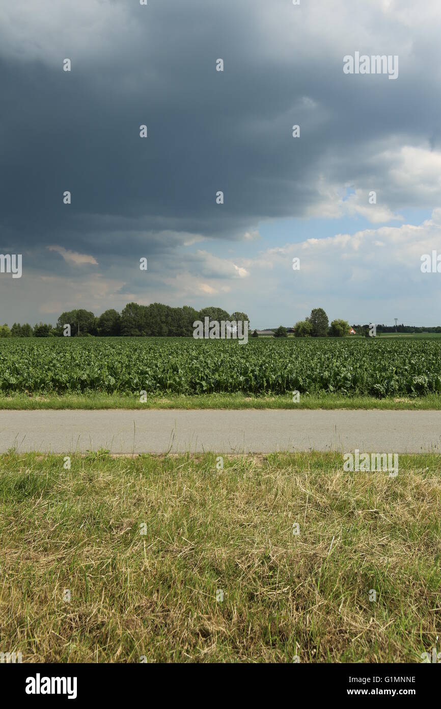 Nuvole scure su soleggiate giornate estive nel Meclemburgopomerania Occidentale, Germania. Foto Stock