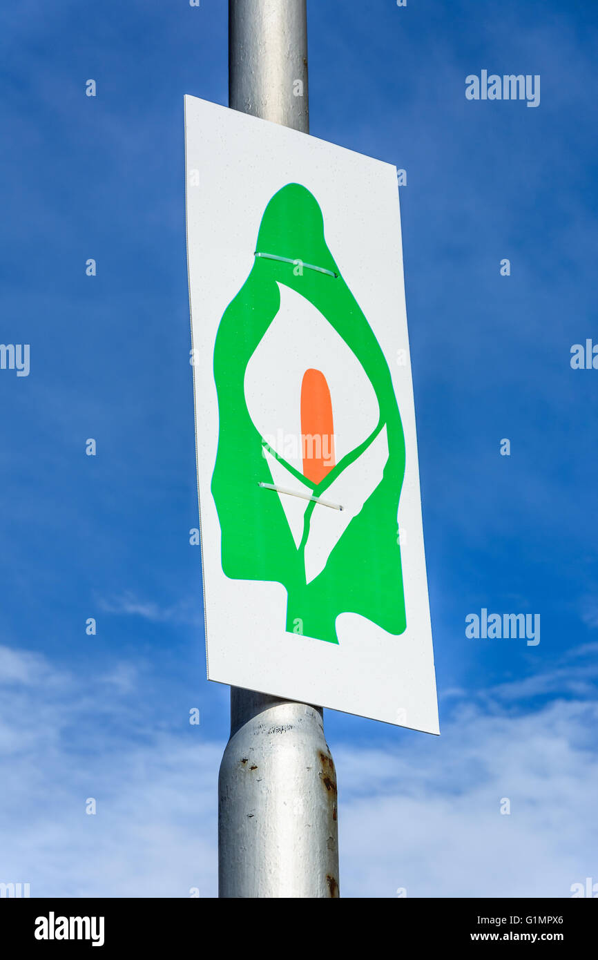 Il repubblicano irlandese la Pasqua Lily immagine. Questa immagine è ampiamente associata a ricordare patriota irlandese morto. Foto Stock