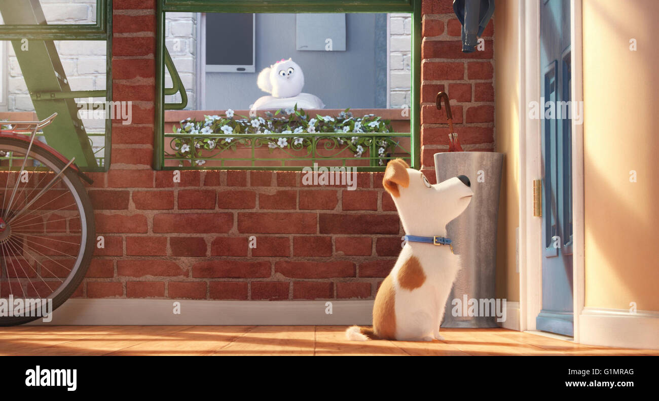 Data di rilascio: 8 luglio 2016 Titolo: vita segreta degli animali domestici STUDIO: Universal Pictures Regista: Chris Renaud, Yarrow Cheney trama: luogo in un appartamento di Manhattan building, Max la vita come un animale preferito è capovolto, quando il suo proprietario mette a casa un cagnaccio sciatta nominato Duca. Essi hanno a mettere i loro litigi dietro quando scoprono che un adorabile coniglietto bianco denominato Snowball è la costruzione di un esercito di animali abbandonati determinato di vendicarsi su tutti felici di proprietà di animali domestici e i loro proprietari nella foto: Jenny Slate, Ellie Kemper, Kevin Hart (voci) (credito: c Universal Pictures/Entertainment Pictures/ Foto Stock