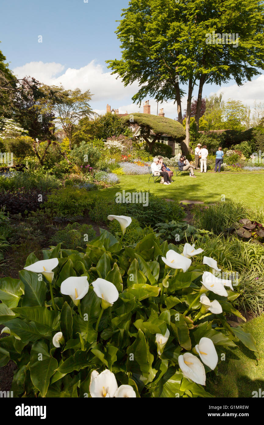 Il Mill House garden Mill Street, Warwick, Warwickshire England Regno Unito Foto Stock