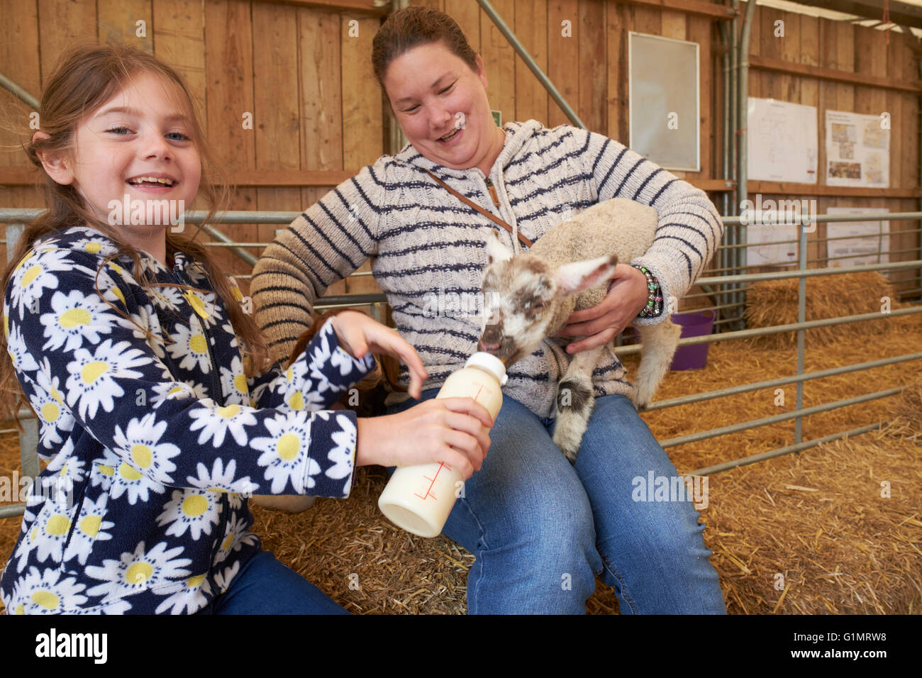 Ragazza giovane con la madre Biberon un agnello all'interno di un fienile in una fattoria per bambini Foto Stock