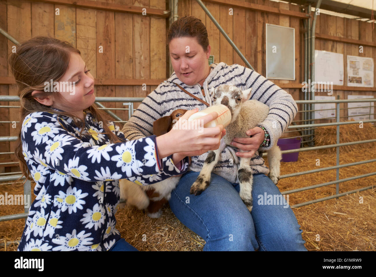Ragazza giovane con la madre Biberon un agnello all'interno di un fienile in una fattoria per bambini Foto Stock