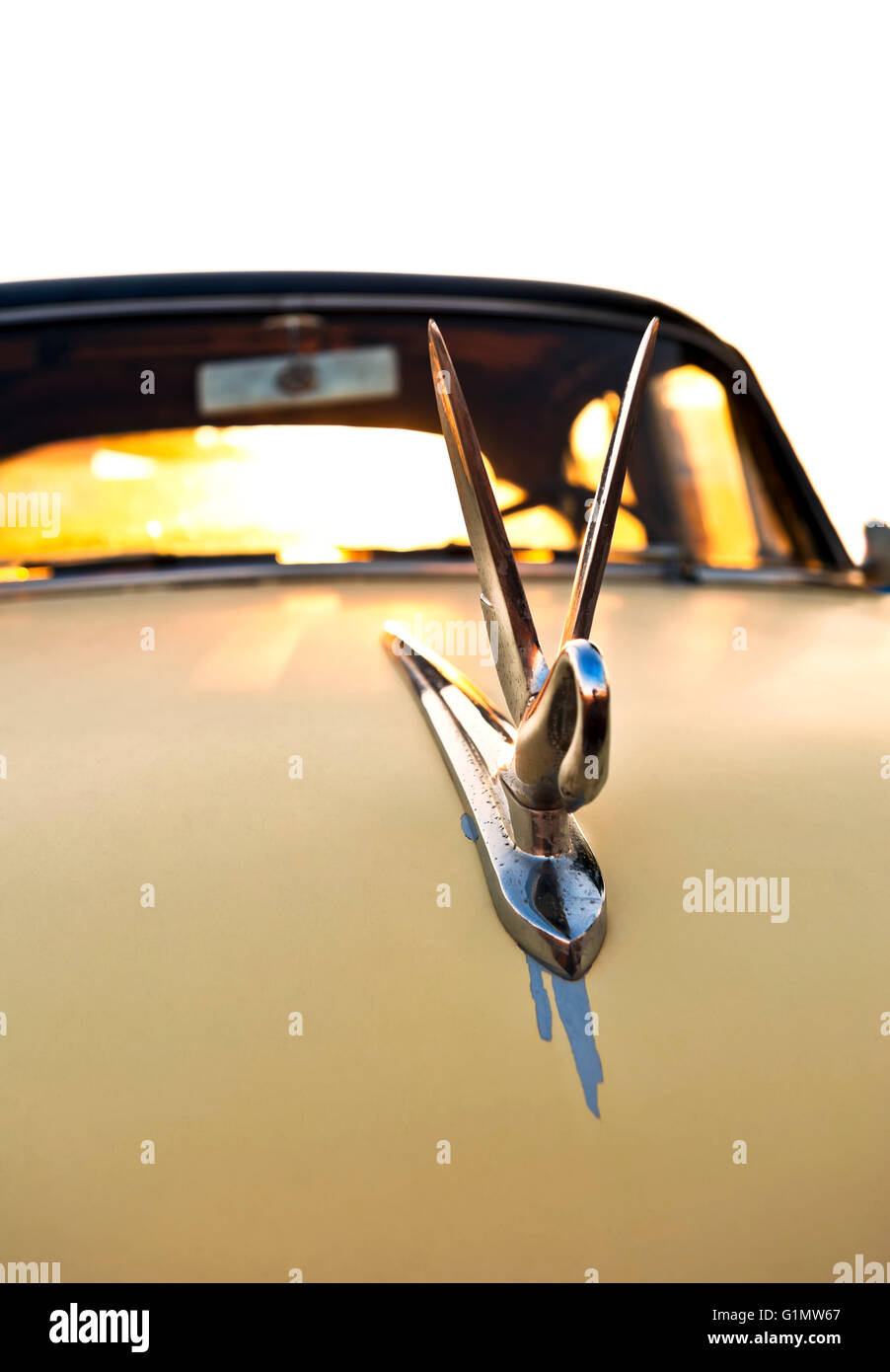 Swan ornamento del cofano su un Packard 1948 classic car Foto Stock
