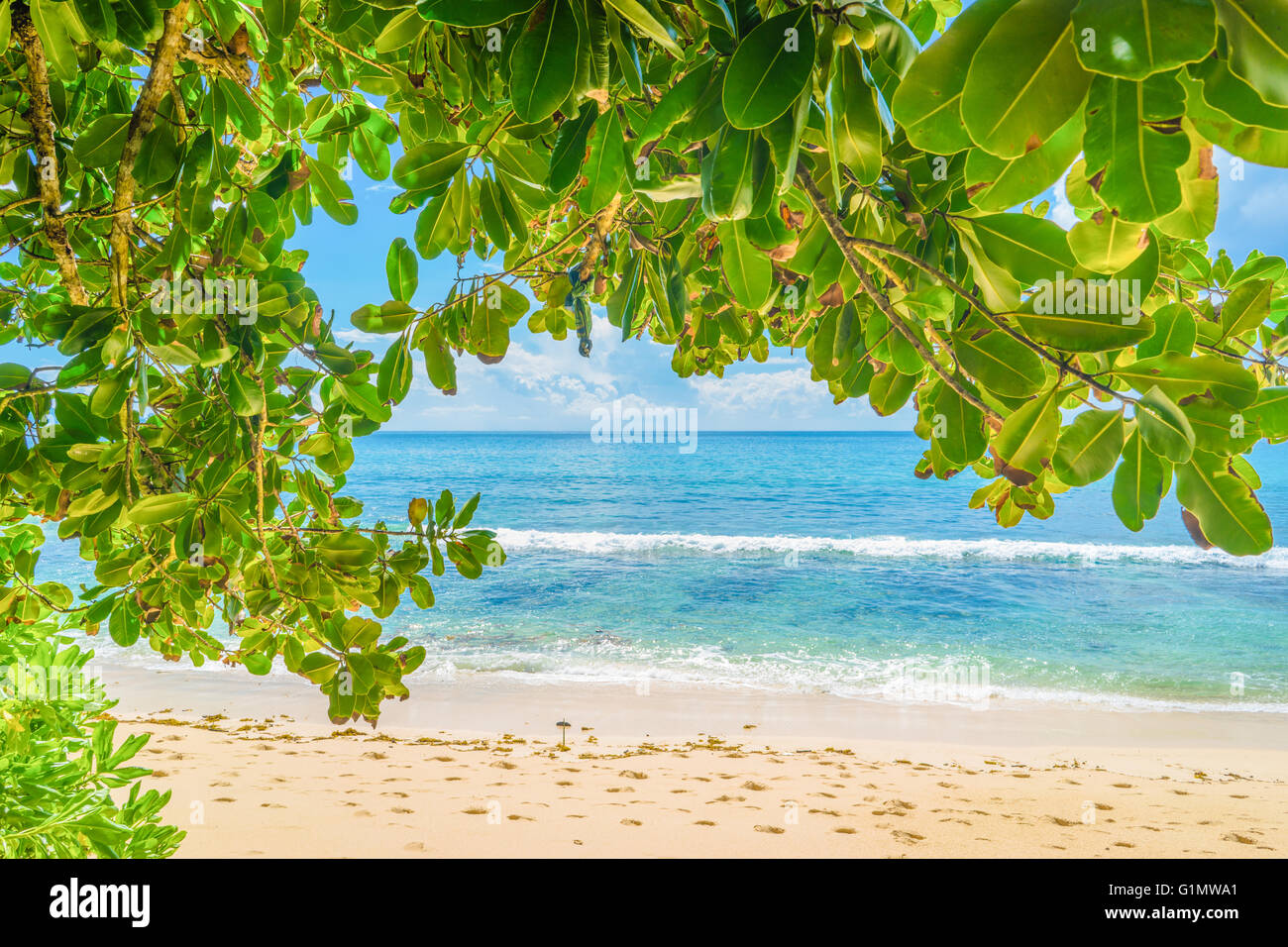 Bella e spiagge incontaminate con oceano turchese in Anse Takamaka, Mahe, Seicelle Foto Stock