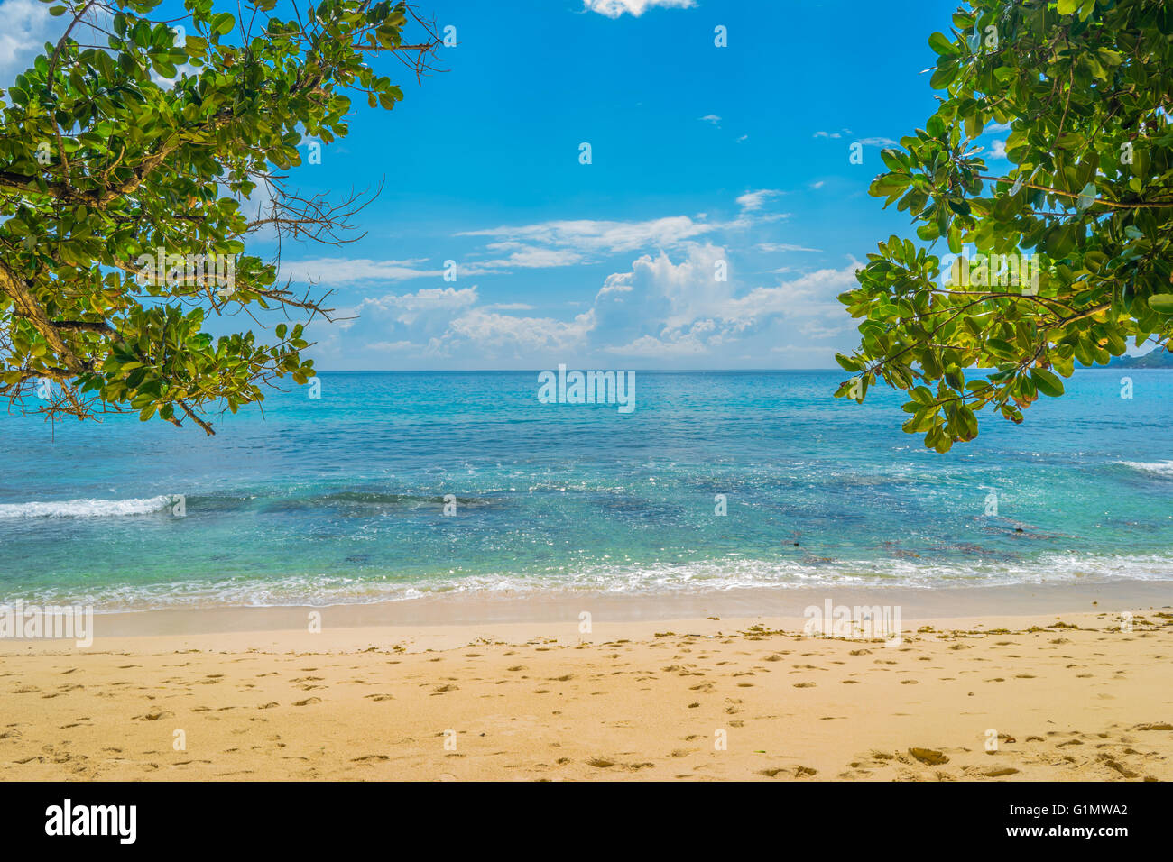 Bella veduta marina blu e oro spiagge in una giornata di sole sull'Isola di Mahe in Seychelles Foto Stock