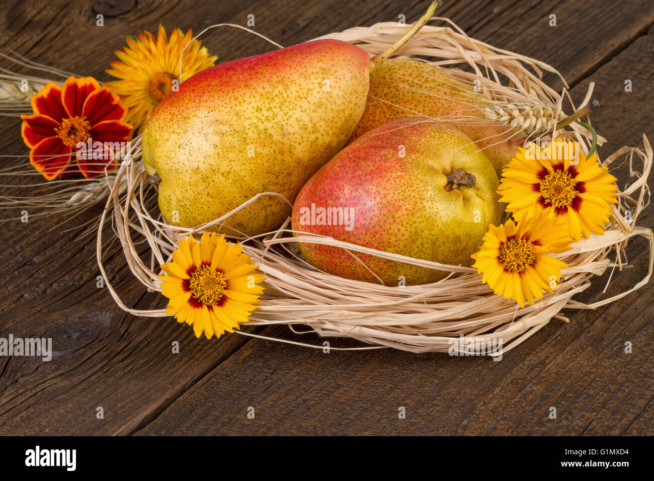 Pere frutta autunno la Giornata del Ringraziamento decorazione Foto Stock