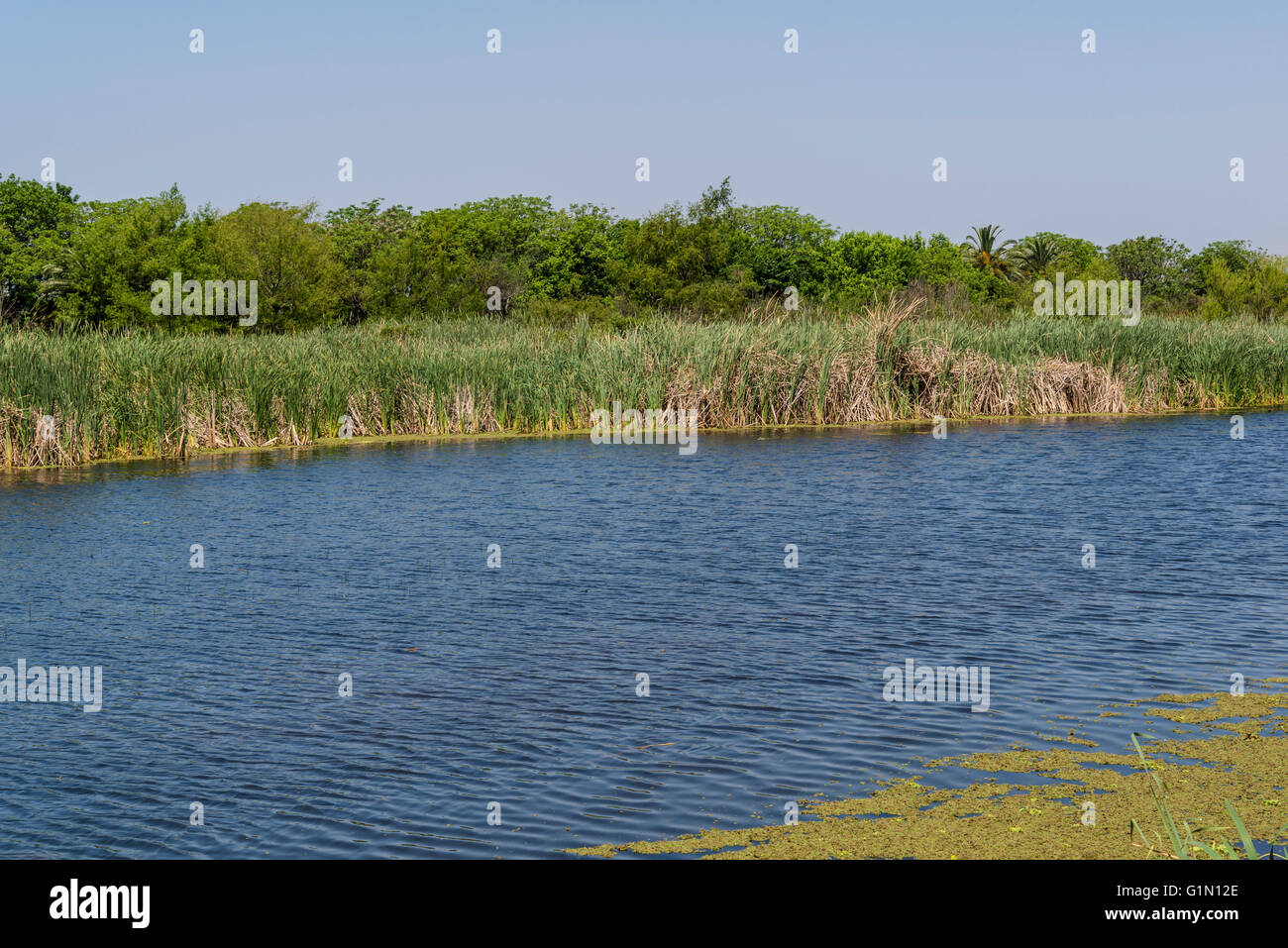 Costanera Sur Riserva Ecologica, Buenos Aires, Argentina Foto Stock