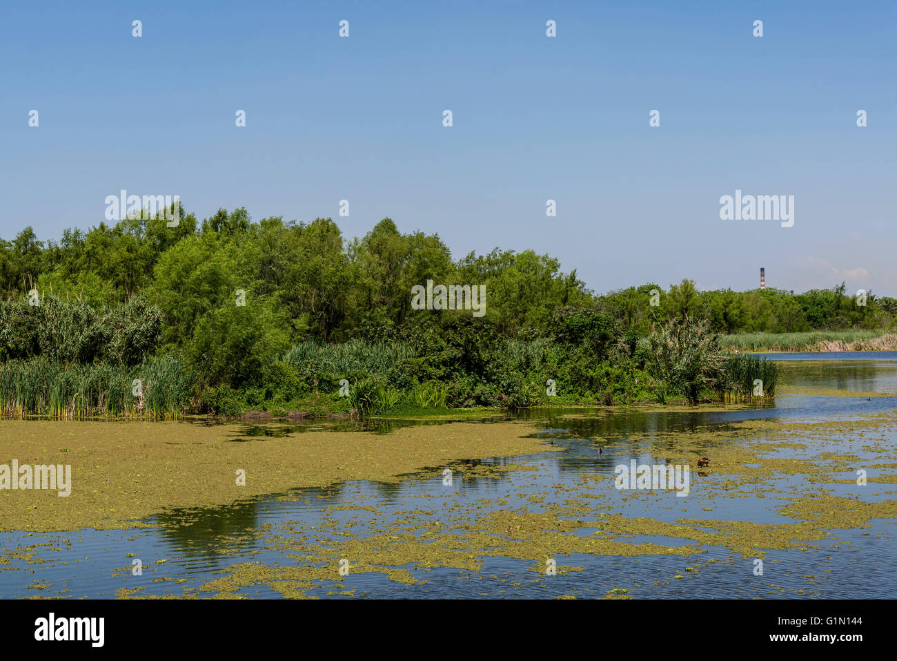 Costanera Sur Riserva Ecologica, Buenos Aires, Argentina Foto Stock