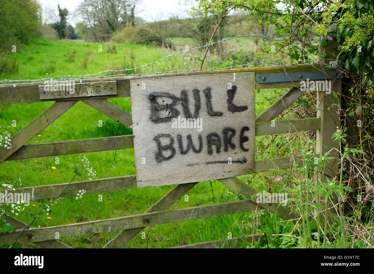 Bull attenzione segno sulla fattoria, Norfolk, Inghilterra Foto Stock