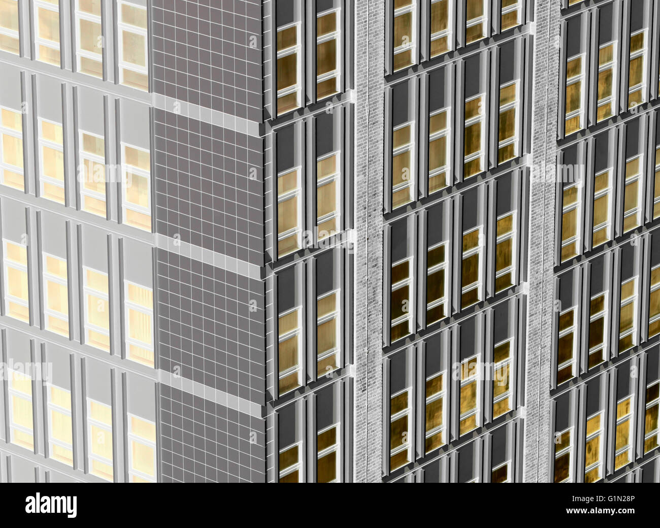 Office Block windows. Foto Stock