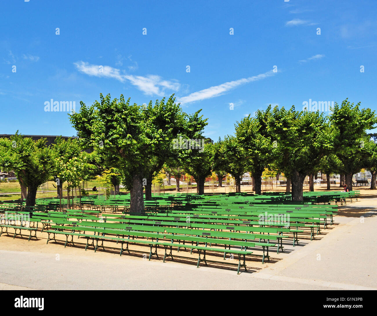 San Francisco: alberi la musica in Piazzale di open-air plaza entro il Golden Gate Park fiancheggiante l'Accademia delle Scienze della California del museo di storia naturale Foto Stock