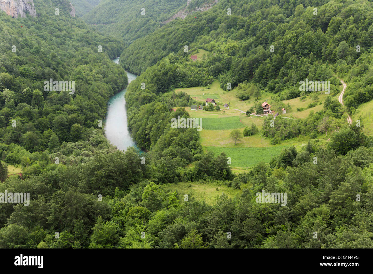 Montenegro. Parco Nazionale del Durmitor. Il fiume Tara e il fiume Tara canyon fotografato dal ponte di Tara. Foto Stock