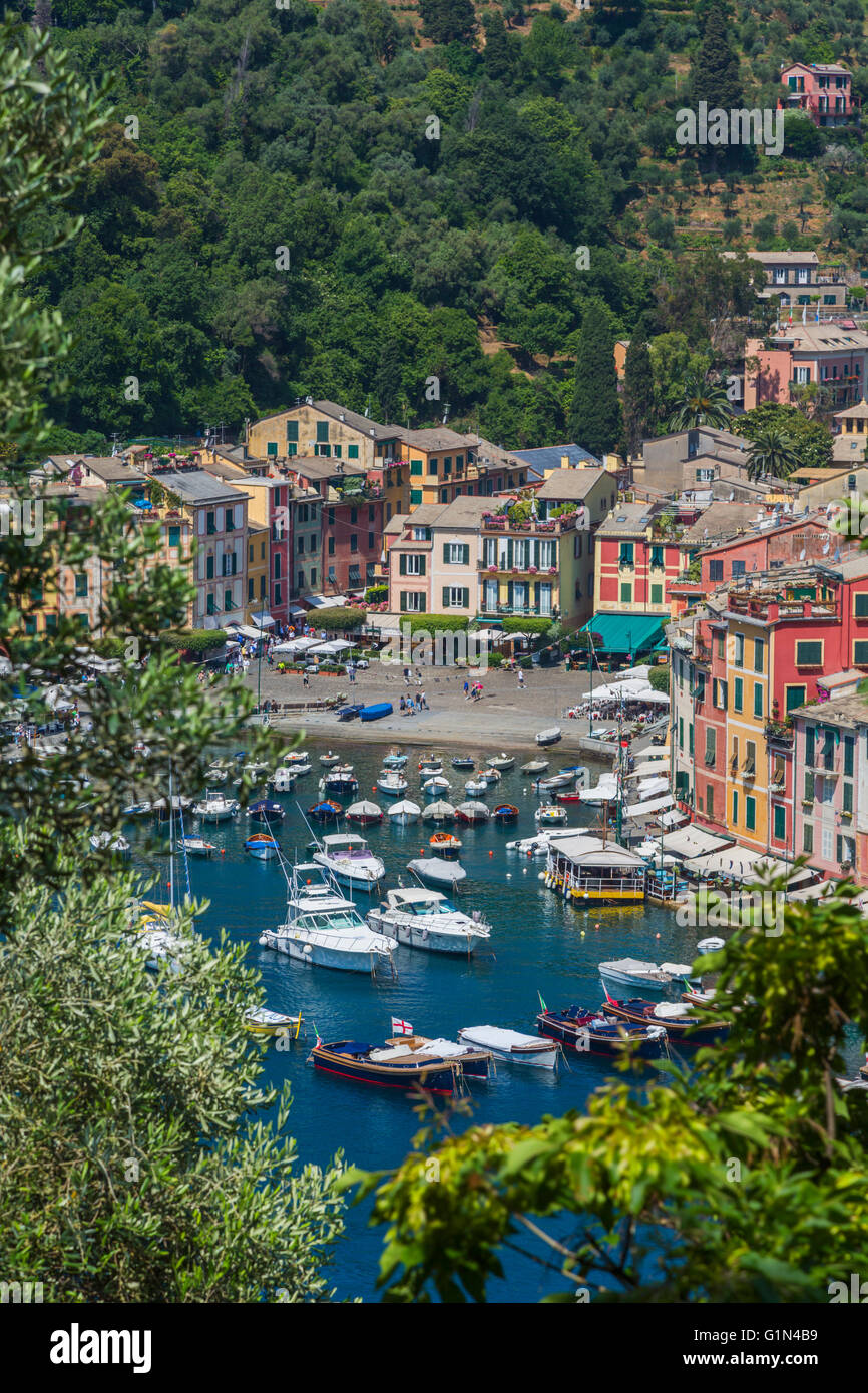 Portofino, la provincia di Genova, Liguria, Riviera Ligure, Italia. Classic vista complessiva del villaggio ed un porto. Foto Stock