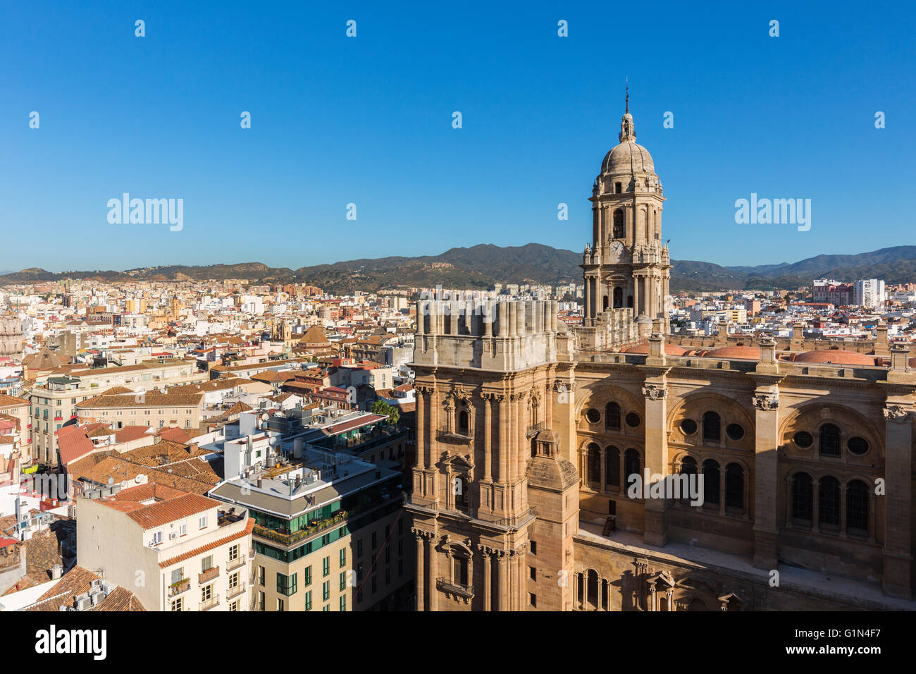 Malaga, provincia di Malaga, Costa del Sol, Andalusia, Spagna meridionale. Il Duomo rinascimentale. Foto Stock