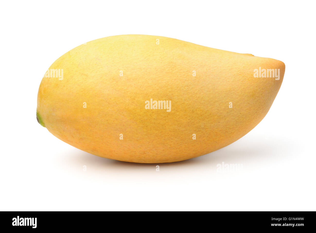 Mature Giallo mango fruit isolato su bianco Foto Stock