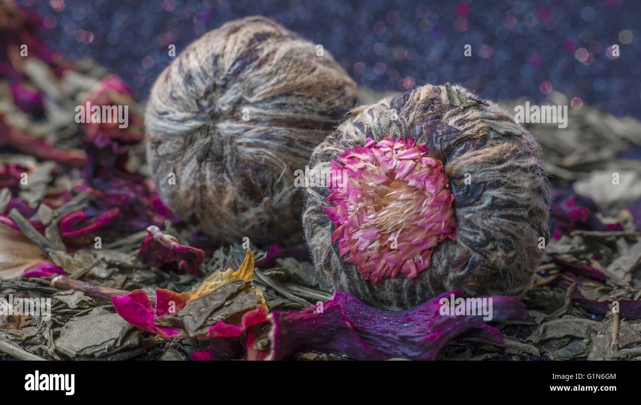 Cinese del tè di fioritura e composizione Foto Stock