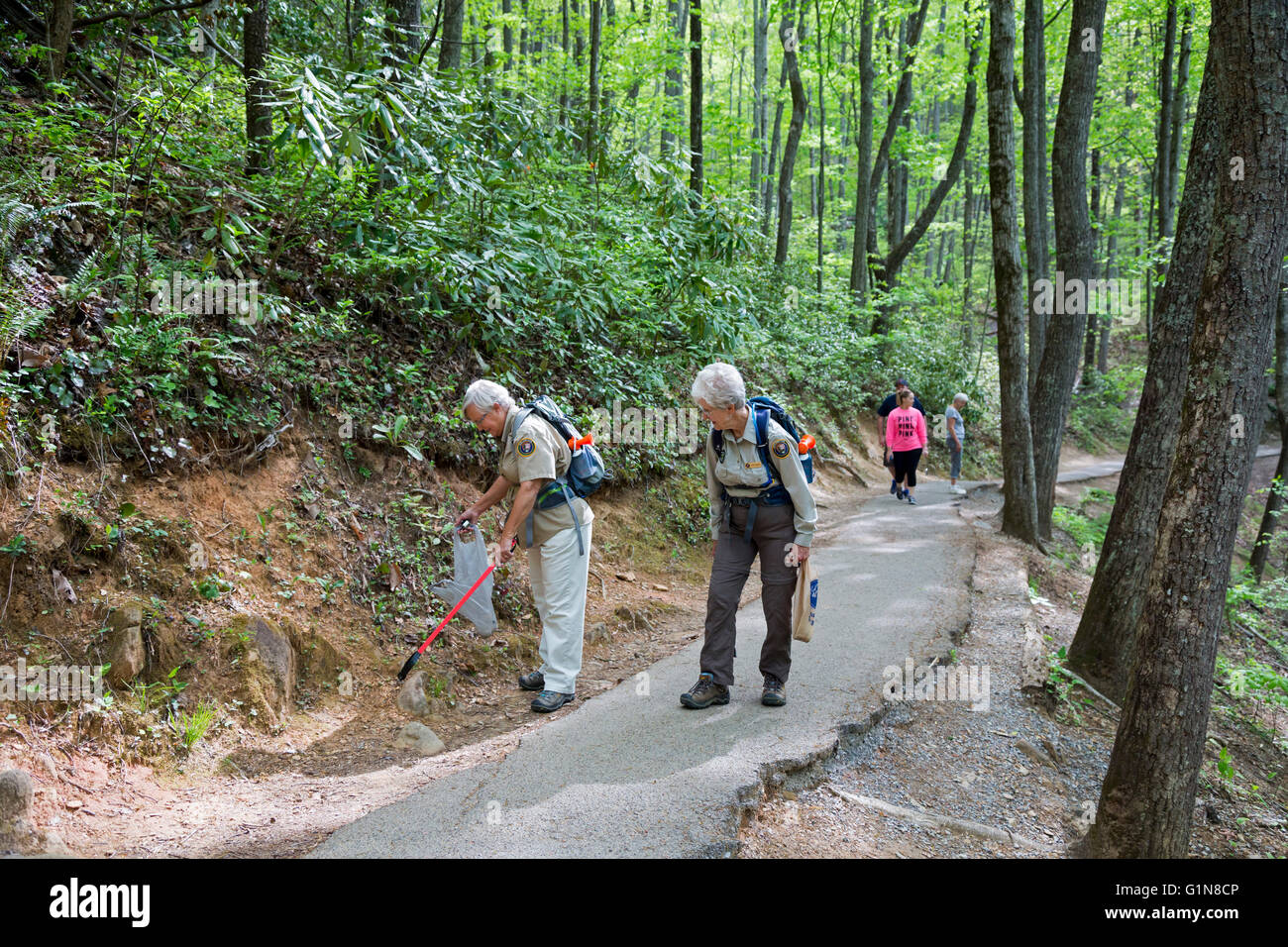 Parco Nazionale di Great Smoky Mountains, Tennessee - Senior Citizen volontari pick up cucciolata lungo l'Alloro cade trail. Foto Stock
