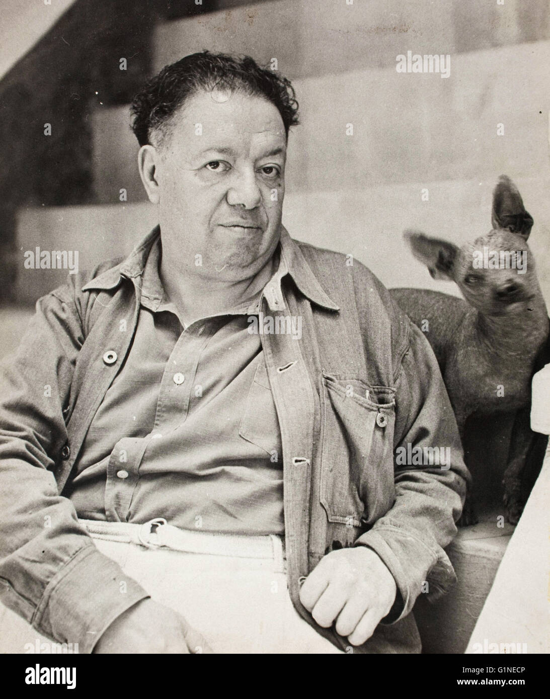 Diego Rivera con un xoloitzcuintle cane in casa blu, Coyoacan - Museo Frida Kahlo Foto Stock