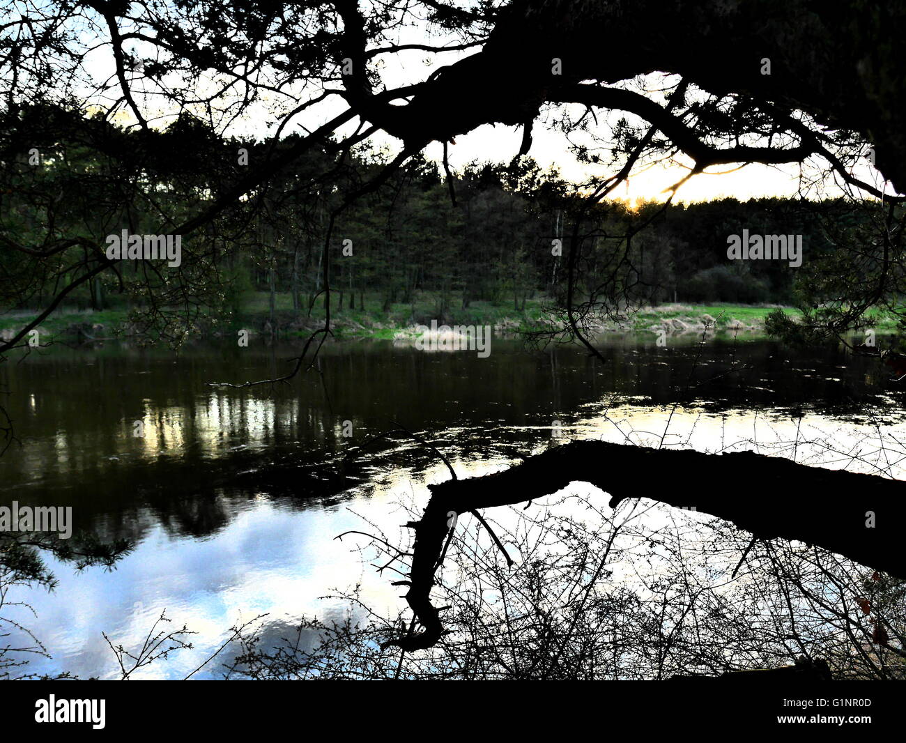 Serata al fiume Warta Foto Stock