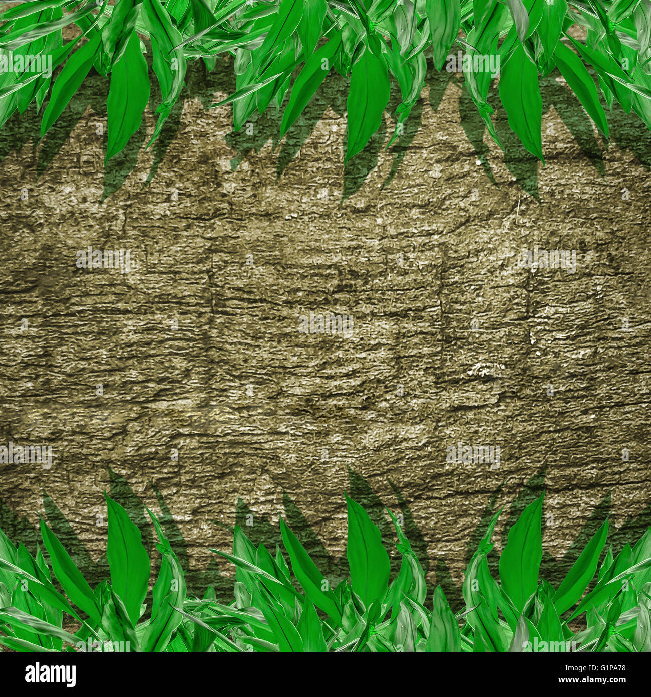 Digital photo collage di natura tecnica di tessitura di legno sfondo con piante verdi confini Foto Stock