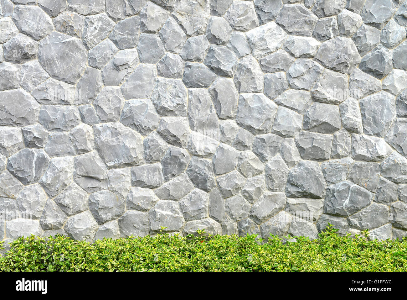 Grigio a muro di pietra e albero verde per lo sfondo Foto Stock