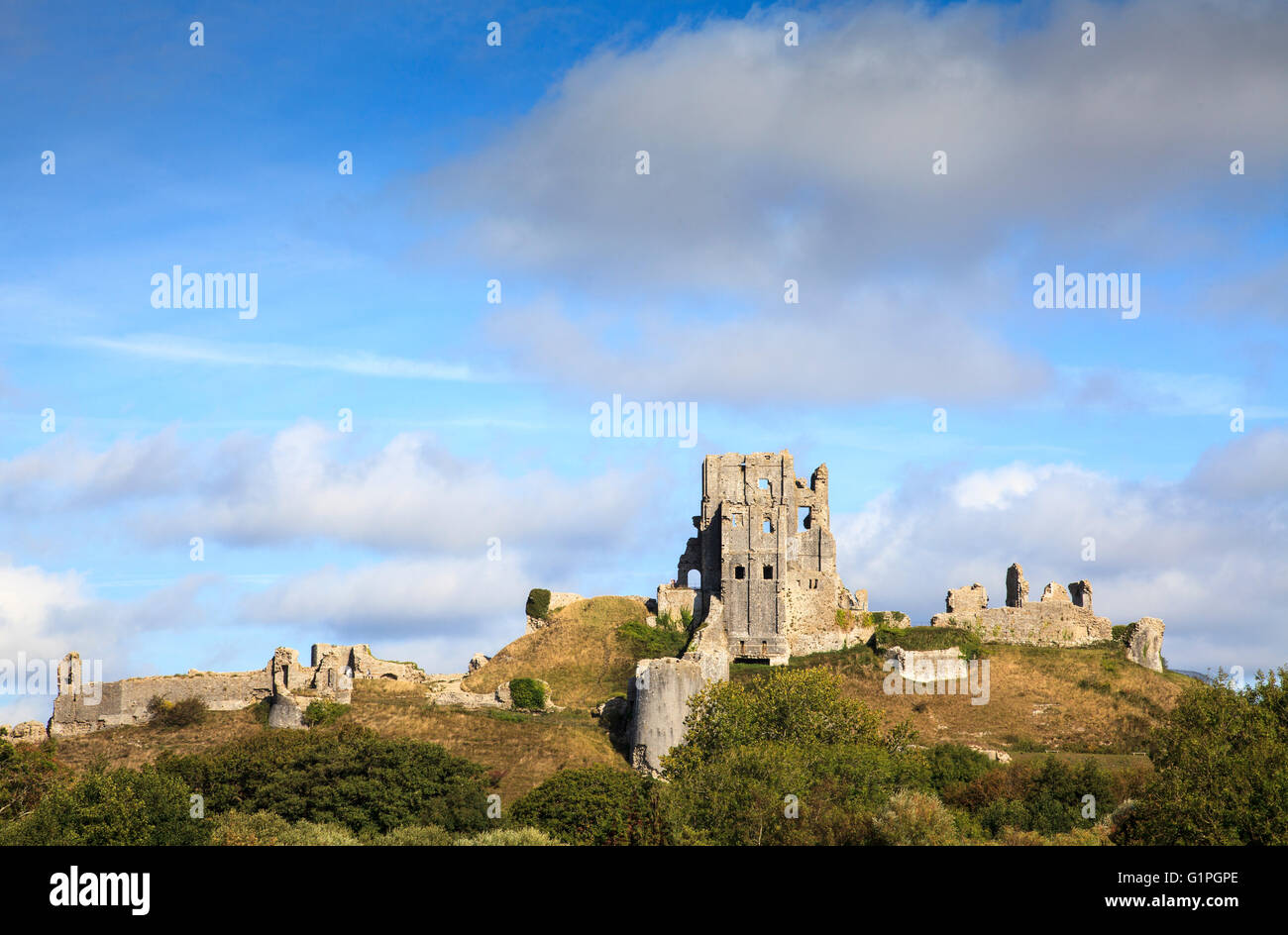 Le rovine del Castello di Corfe sull'isola di Purbeck, Dorset, Inghilterra Foto Stock
