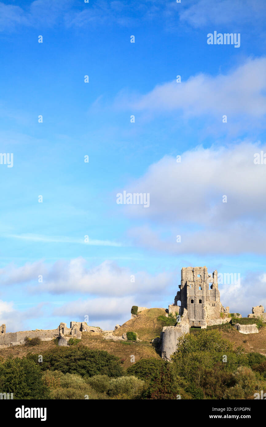 Le rovine del Castello di Corfe sull'isola di Purbeck, Dorset, Inghilterra Foto Stock
