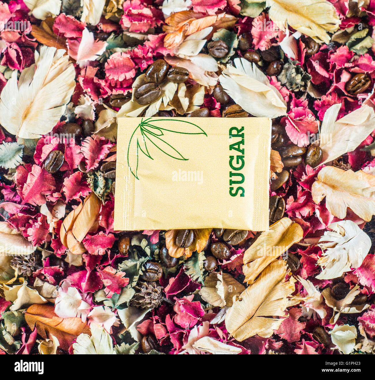 Zucchero il seme di caffè fiore Foto Stock