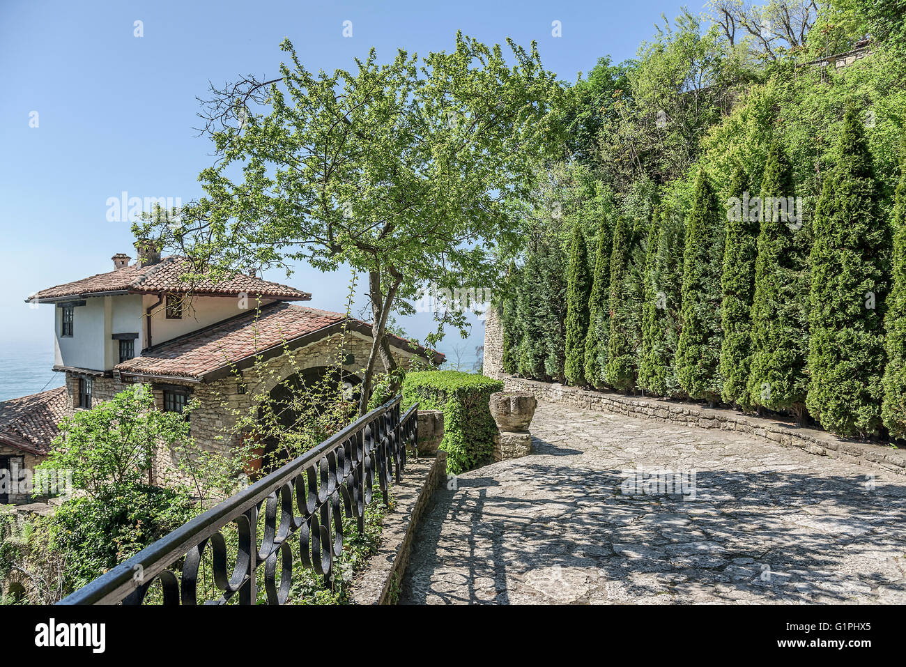 Strada di città vecchia lastricata in pietra e alberi in fiore. La Bulgaria. Foto Stock