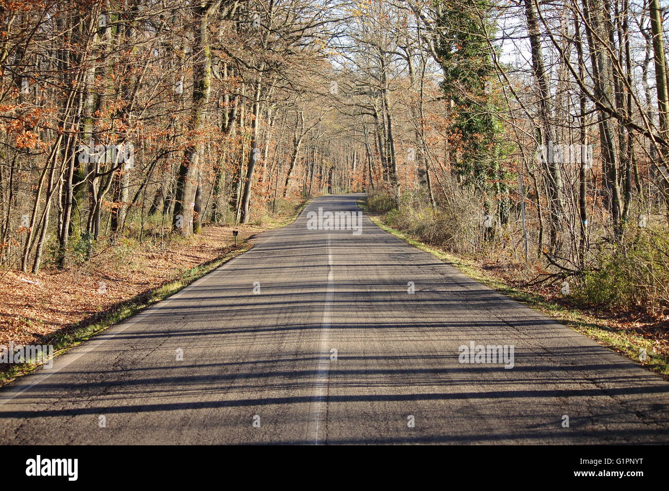 Ultimi giorni di autunno su una strada di montagna Foto Stock