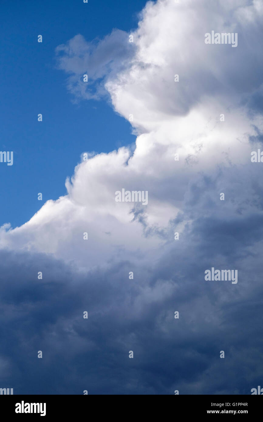 Stormy cumulus nuvole di raccolta. STATI UNITI. Foto Stock