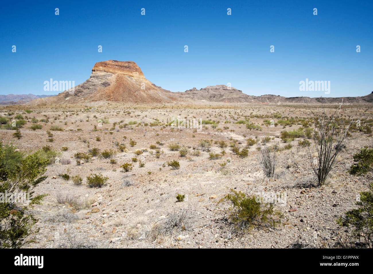 Cerro Castellan si siede in un deserto pianura alluvionale vicino Castolon nel Parco nazionale di Big Bend nel sud-ovest della Texas, Stati Uniti d'America Foto Stock