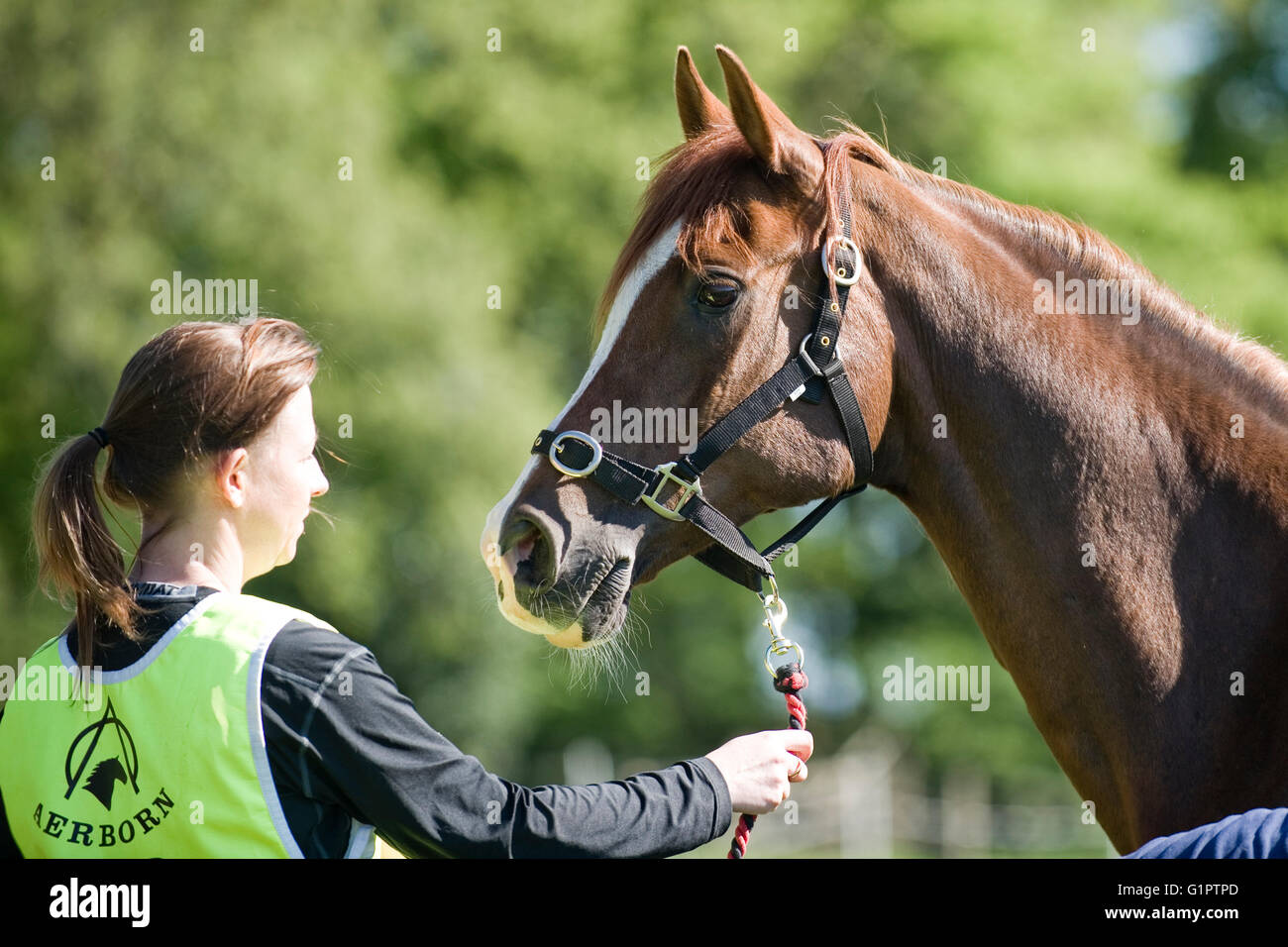 Ragazza con un cavallo a un concorso Foto Stock