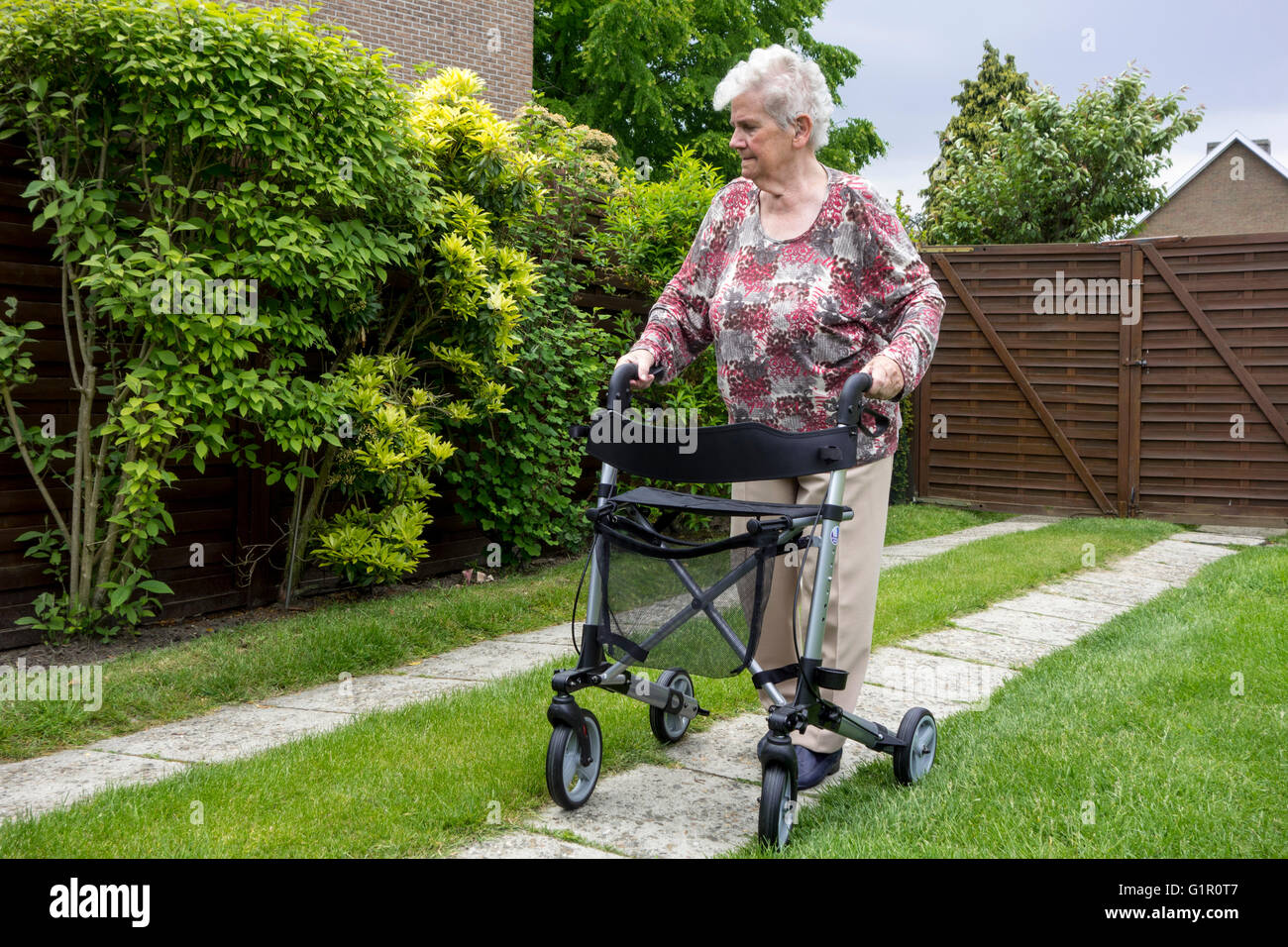 Donna anziana con rollator ruote / walker praticare passeggiate sul viale di accesso a casa Foto Stock