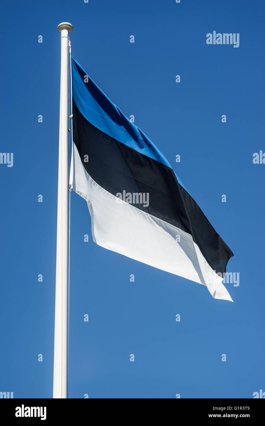 Nazionale Estone bandiera sventola contro il cielo blu, composizione verticale Foto Stock
