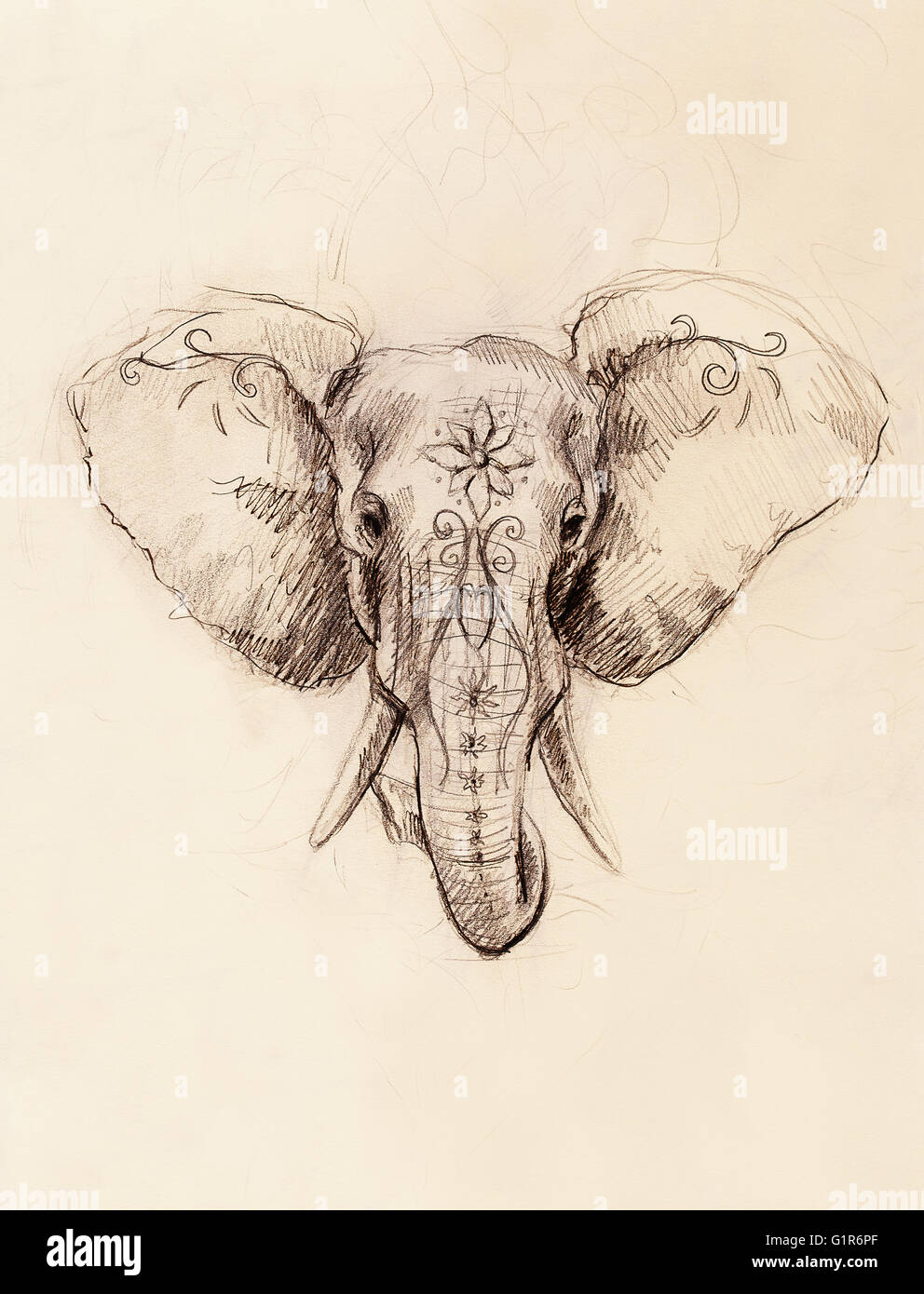 Elephant con ornamenti floreali, disegno a matita su carta. Foto Stock