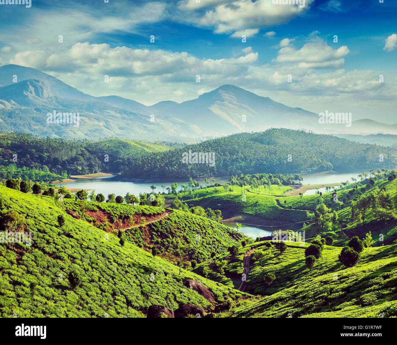 Le piantagioni di tè e il fiume in colline vicino a Munnar Kerala, India Foto Stock