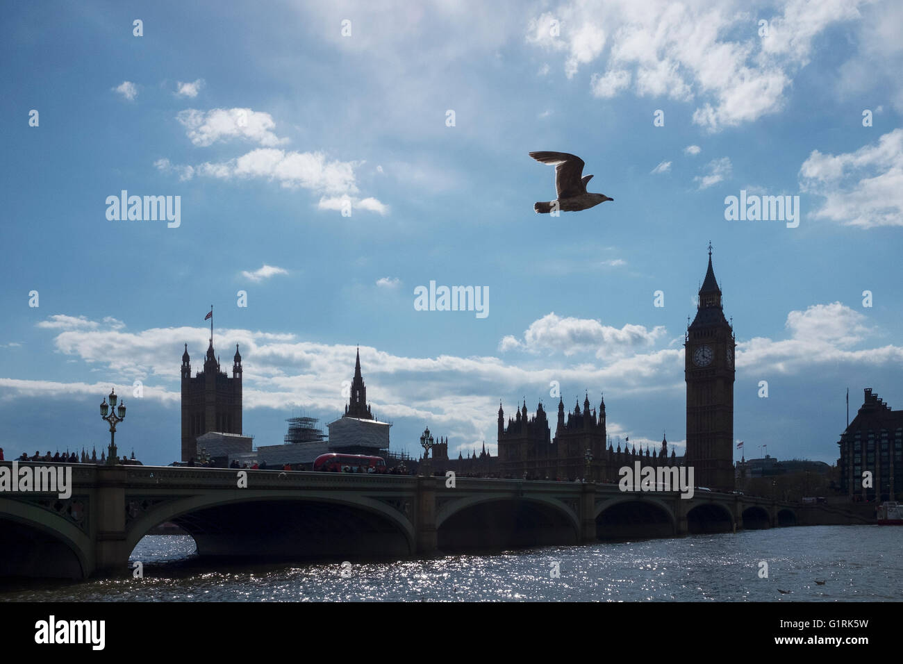 Il Big Ben e il Parlamento in silhouette Foto Stock