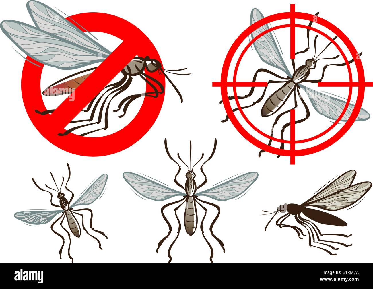 Controllo di Peste, mosquito icon set. illustrazione vettoriale Illustrazione Vettoriale