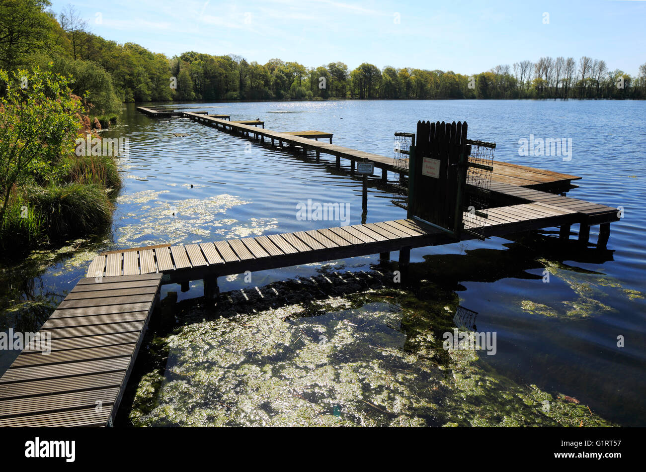 Naturschutzgebiet Krickenbecker visto, Anlegesteg am Schroliksee in Nettetal-Hinsbeck, Niederrhein, Renania settentrionale-Vestfalia Foto Stock