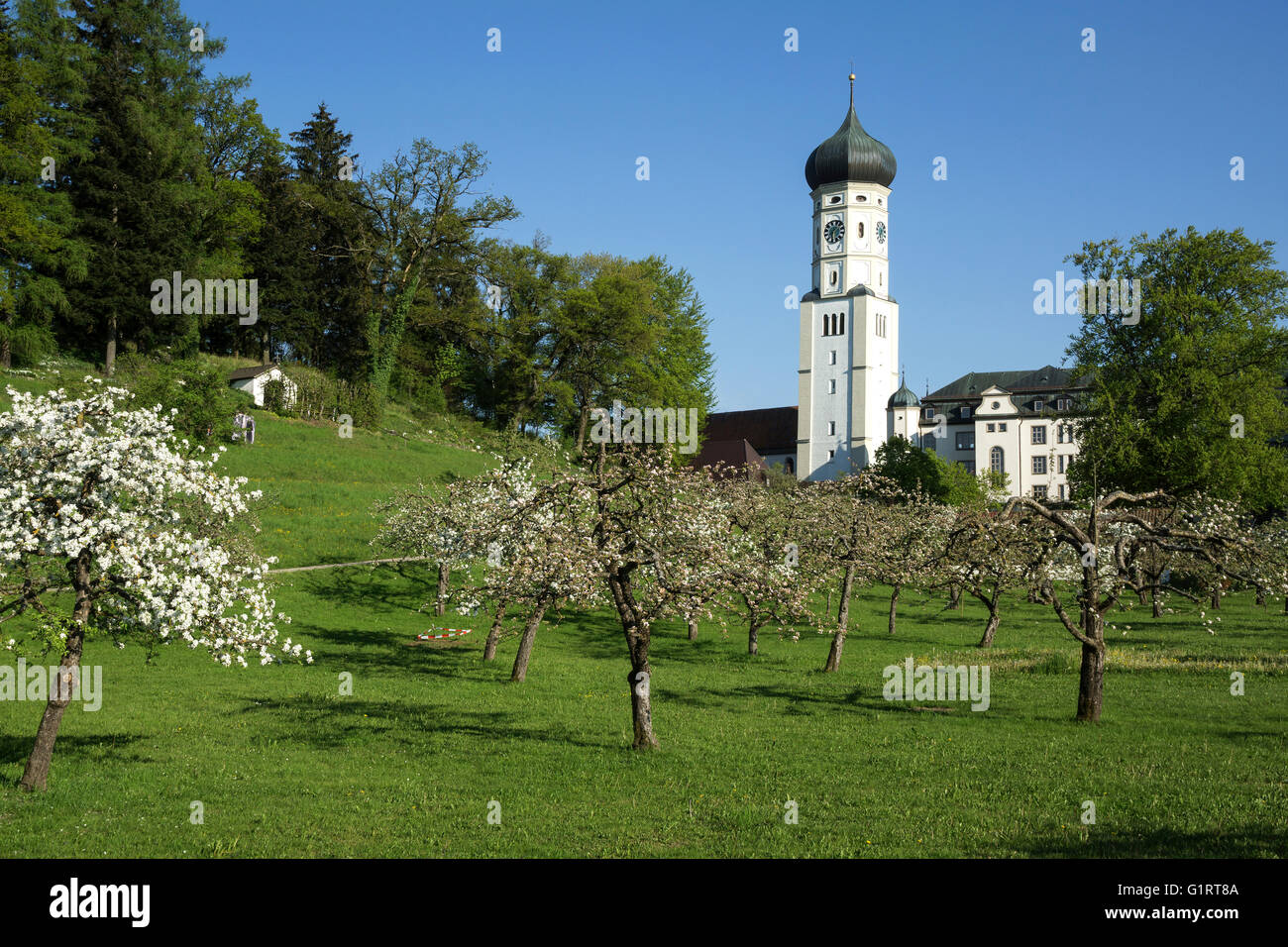 Monastero chiesa e monastero Ursberg, francescano san Giuseppe Congregazione, Ursberg, Baviera, Germania Foto Stock