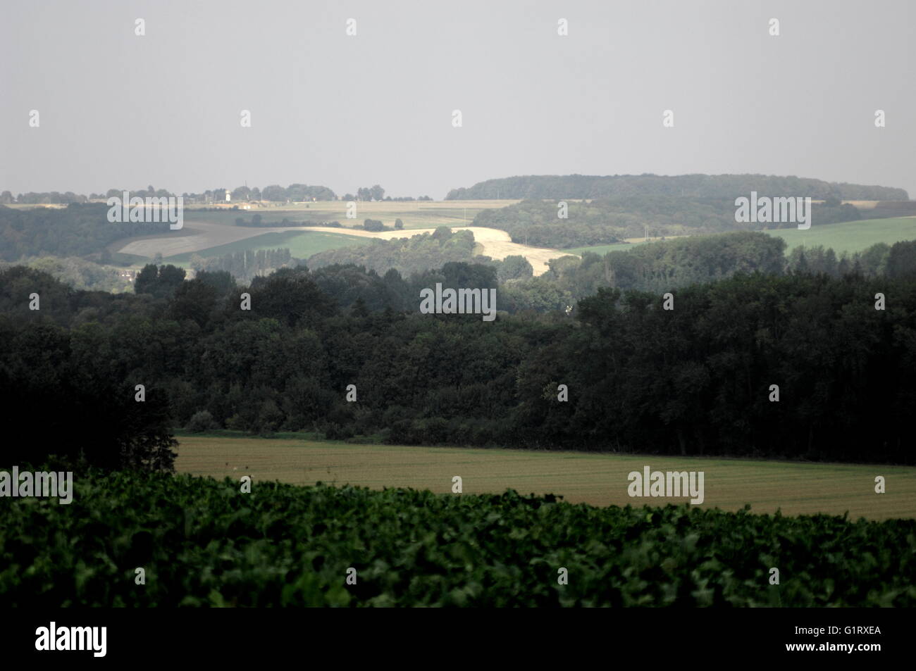 AJAXNETPHOTO. 23RD SEPT, 2013. SOMME, Francia. - Guardando a Nord attraverso il fiume valle della Somme verso il crinale tra paesaggio e CURLU HEM-MONACU. Foto:JONATHAN EASTLAND/AJAX REF:D132309 3476 Foto Stock