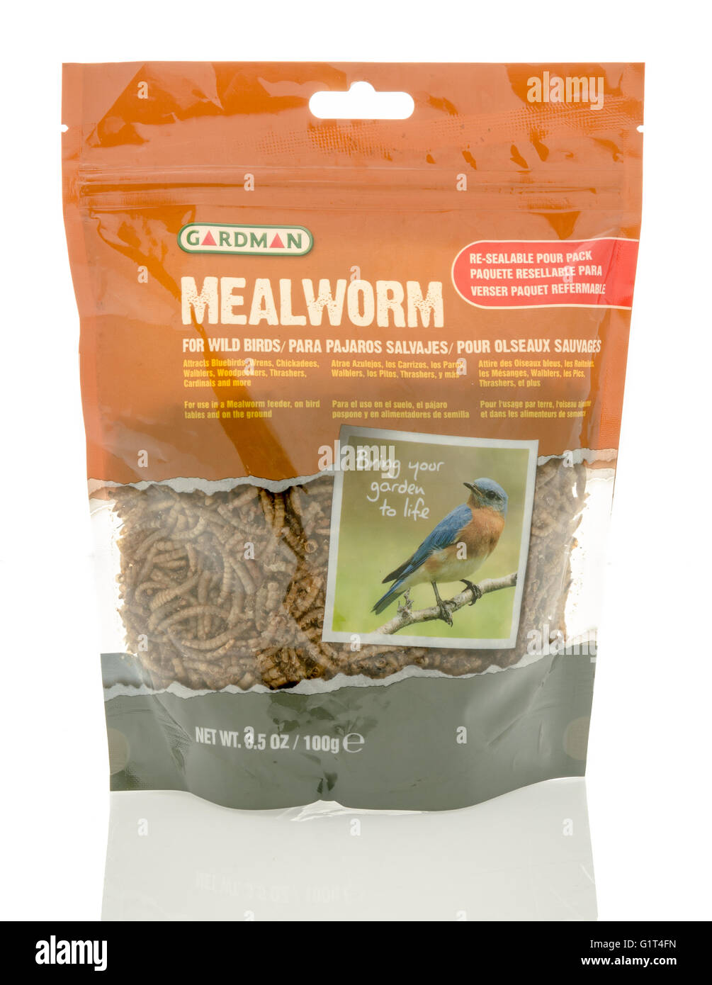 Winneconne, WI - 18 Maggio 2016: Borsa di mealworms essiccato per uccelli realizzati da Gardman isolato su un background Foto Stock
