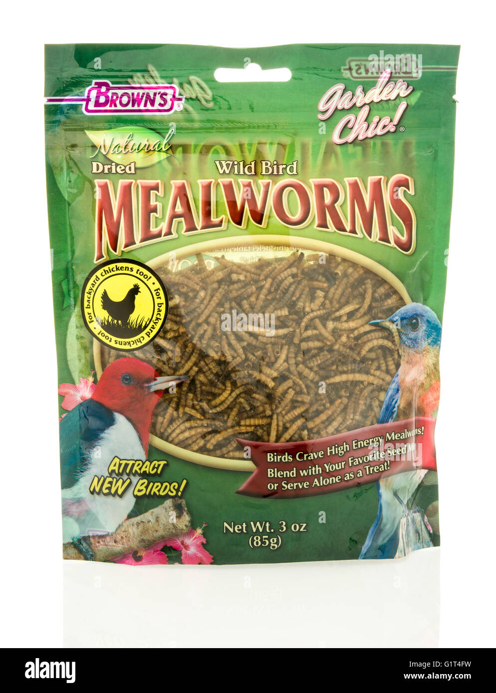 Winneconne, WI - 18 Maggio 2016: Borsa di mealworms essiccato per uccelli fatta da Brown's isolato su un background Foto Stock
