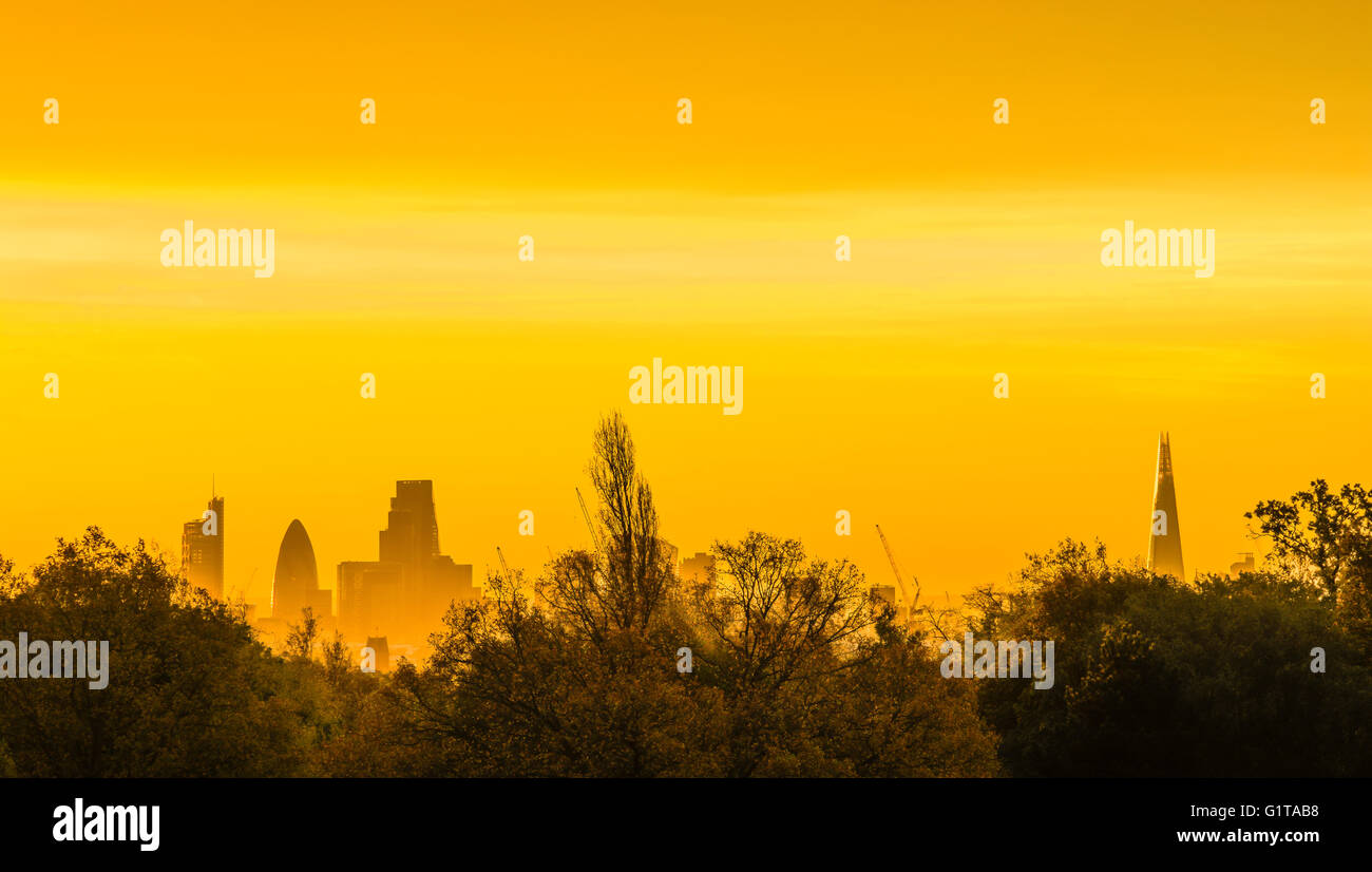 Incredibile arancio e giallo tramonto sull'orizzonte di Londra da Hampstead Heath, Londra, Regno Unito. Foto Stock