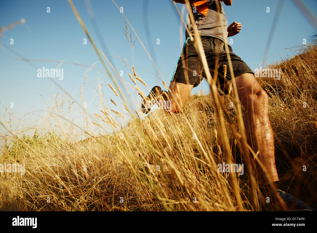 Uomo che corre attraverso l'erba alta sul sentiero soleggiato Foto Stock