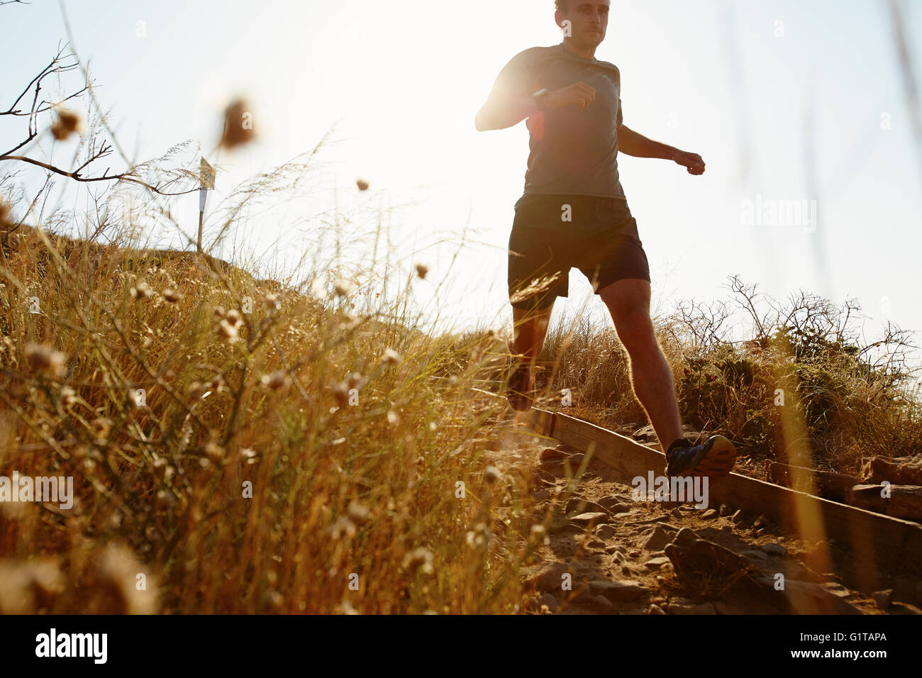Uomo che corre lungo il sentiero soleggiato Foto Stock