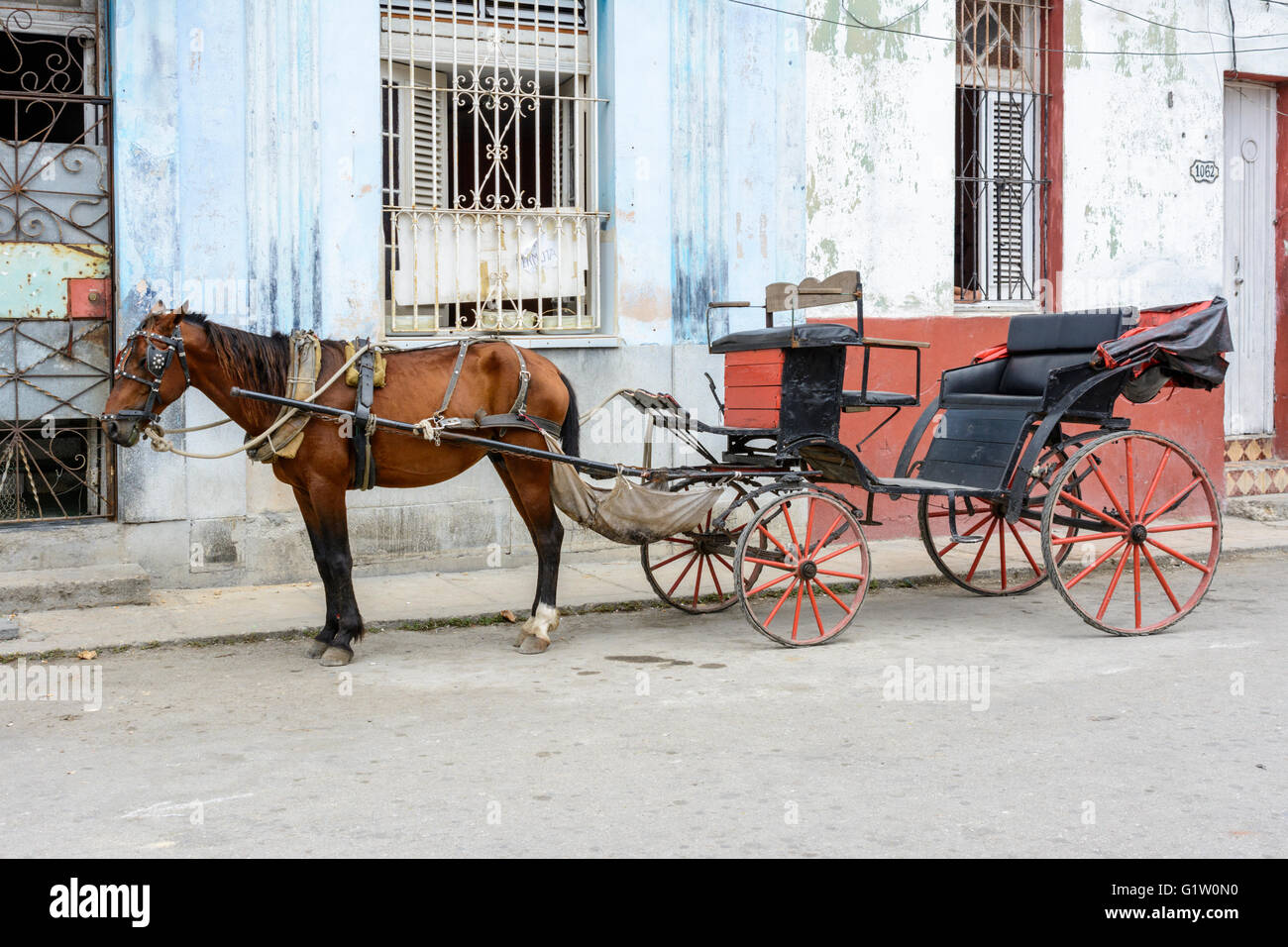 Un carro trainato da cavalli attende pazientemente per i clienti in una stradina a l'Avana, Cuba Foto Stock