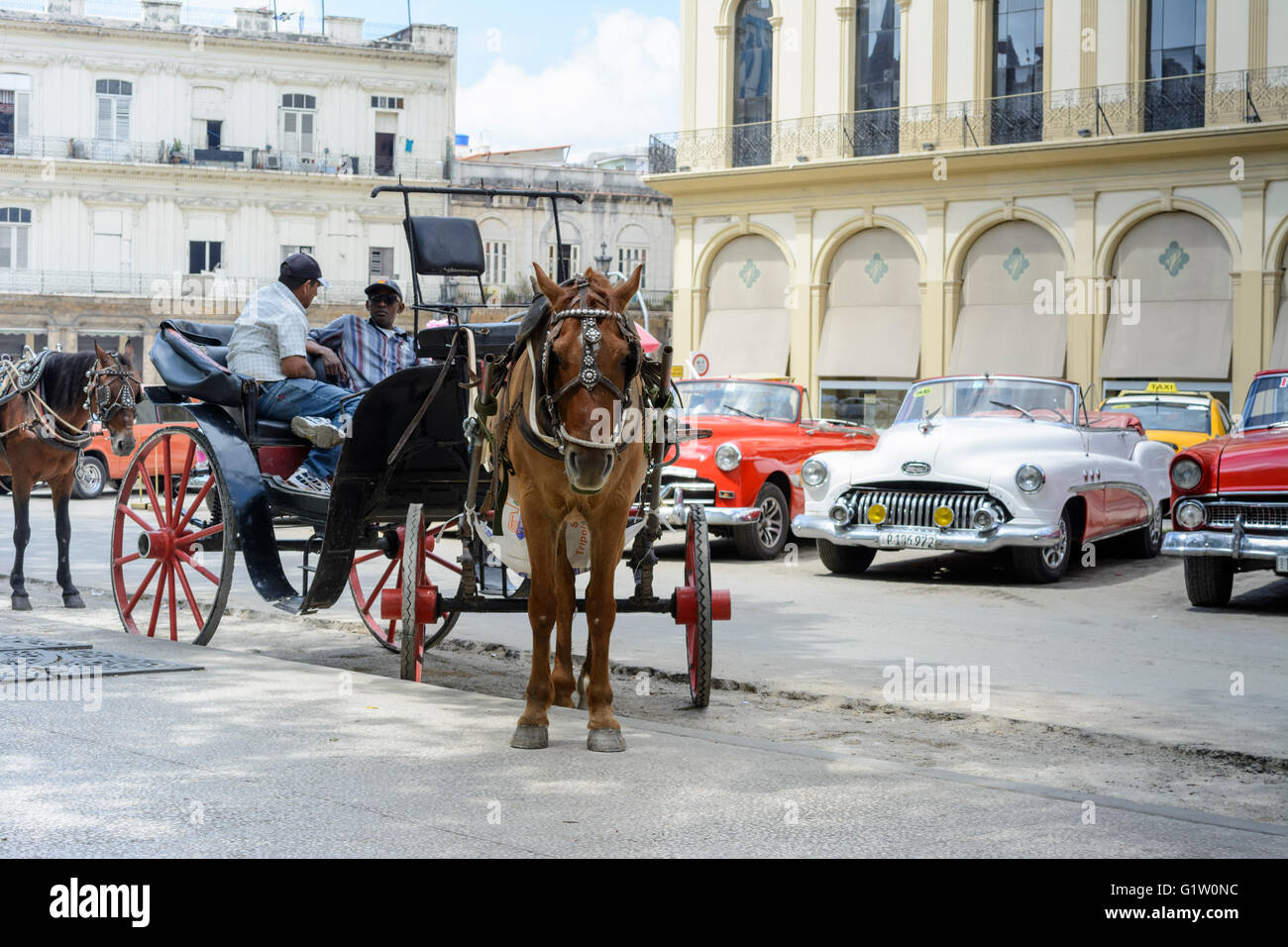 Carro trainato da cavalli con taxi auto classiche nel Parque Central, Old Havana, Cuba Foto Stock