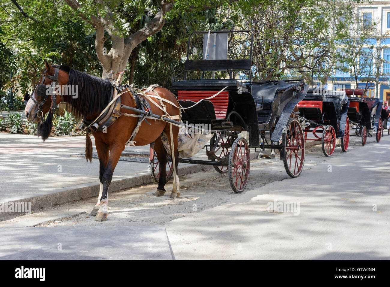 Carro trainato da cavalli taxi a l'Avana, Cuba Foto Stock